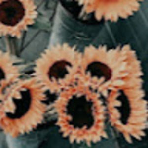 Meet your Posher, Avery